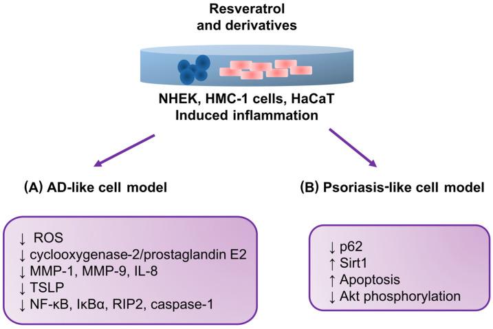 https://cdn.ncbi.nlm.nih.gov/pmc/blobs/a224/10669798/8850ce9c0403/antioxidants-12-01954-g004.jpg