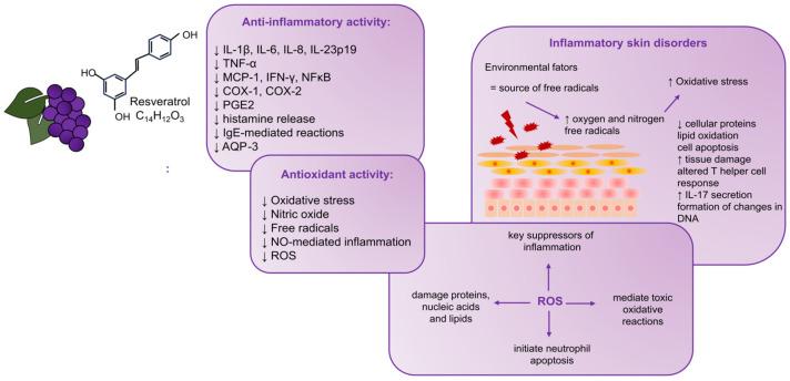 https://cdn.ncbi.nlm.nih.gov/pmc/blobs/a224/10669798/c7f0469ce53e/antioxidants-12-01954-g001.jpg