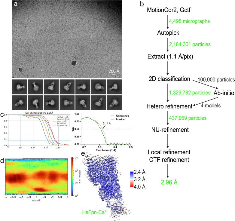 https://cdn.ncbi.nlm.nih.gov/pmc/blobs/a227/9883014/2ab4513e9302/elife-82947-fig2-figsupp1.jpg