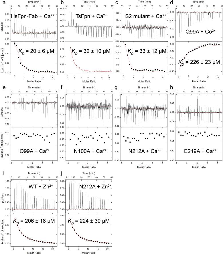https://cdn.ncbi.nlm.nih.gov/pmc/blobs/a227/9883014/9e81fb95dea3/elife-82947-fig3-figsupp2.jpg