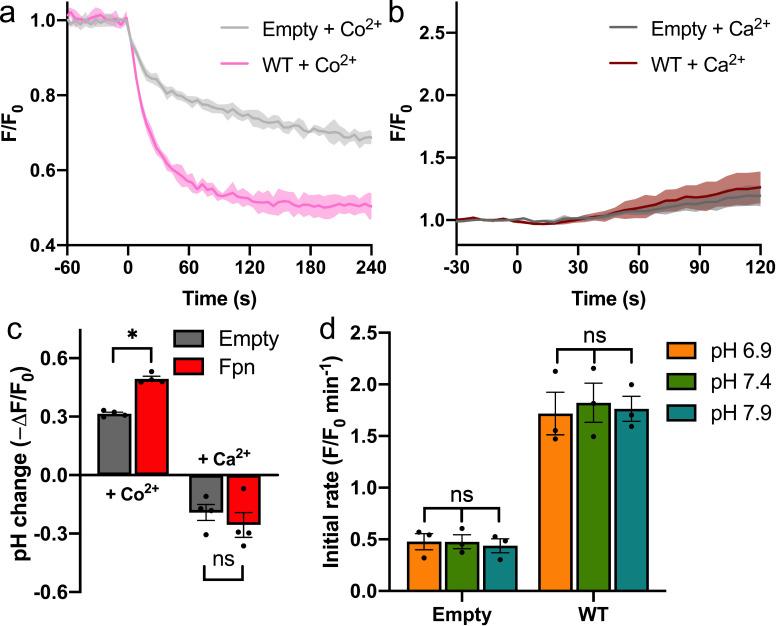 https://cdn.ncbi.nlm.nih.gov/pmc/blobs/a227/9883014/ef58cae721b8/elife-82947-fig1-figsupp2.jpg