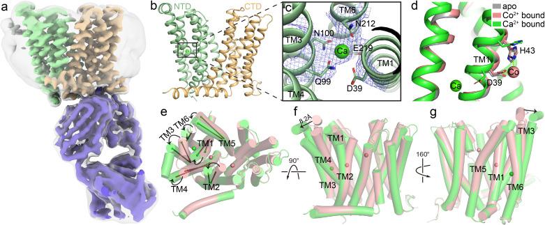 https://cdn.ncbi.nlm.nih.gov/pmc/blobs/a227/9883014/f9d8a5cd9c76/elife-82947-fig2.jpg