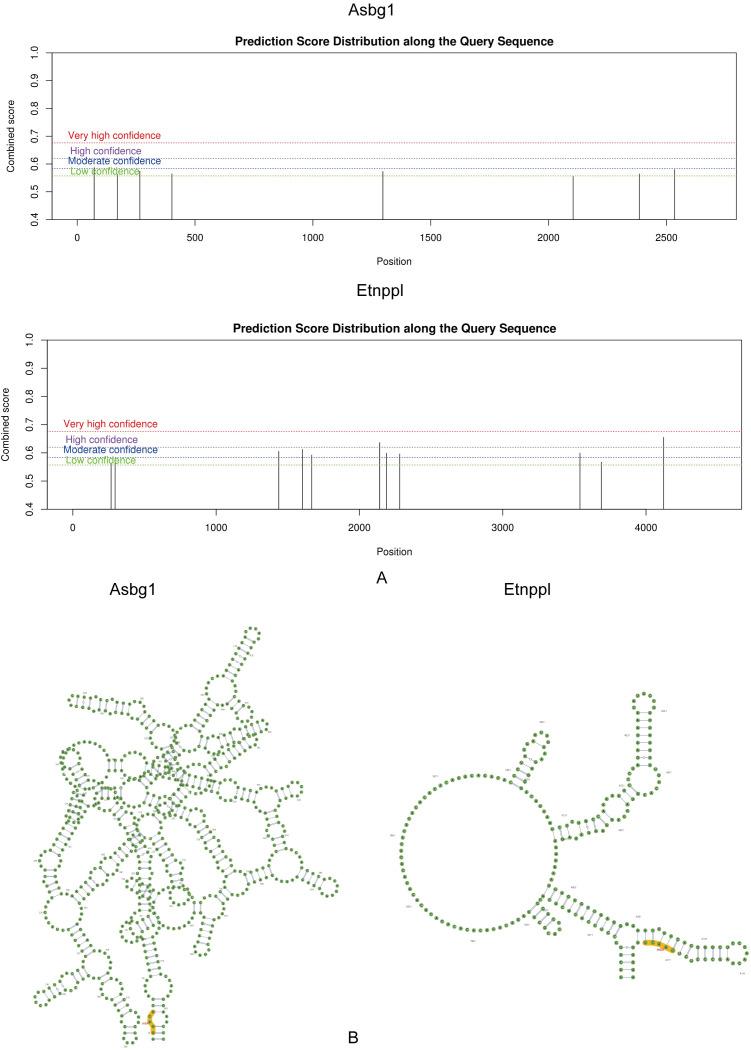 https://cdn.ncbi.nlm.nih.gov/pmc/blobs/a228/11965135/7685e30b1def/fendo-16-1525831-g006.jpg