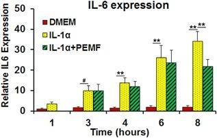 https://cdn.ncbi.nlm.nih.gov/pmc/blobs/a228/5873378/7e8641173d9a/JOR-36-778-g007.jpg