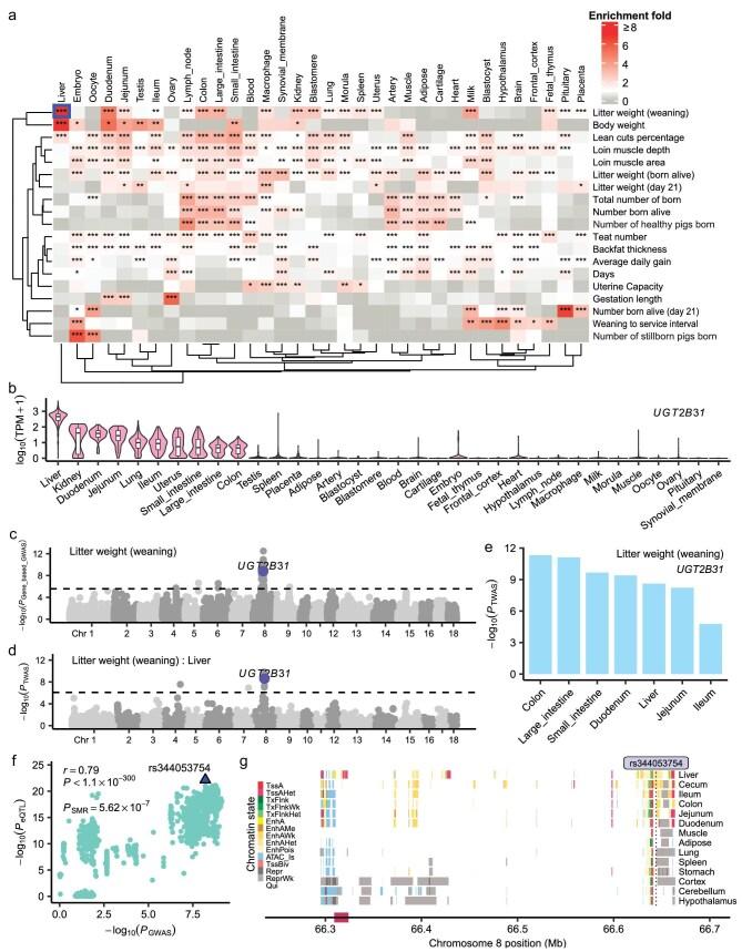 https://cdn.ncbi.nlm.nih.gov/pmc/blobs/a22a/12051865/1c953ab47de9/nwaf048fig5.jpg