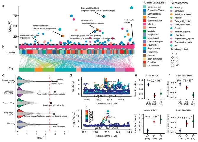 https://cdn.ncbi.nlm.nih.gov/pmc/blobs/a22a/12051865/20e2cd087852/nwaf048fig6.jpg