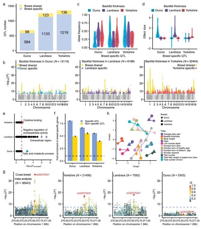 https://cdn.ncbi.nlm.nih.gov/pmc/blobs/a22a/12051865/5291474980fd/nwaf048fig3.jpg