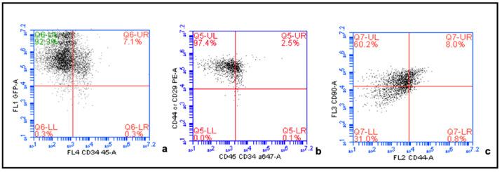 https://cdn.ncbi.nlm.nih.gov/pmc/blobs/a22a/7865849/03c94a003d21/ijms-22-01181-g0A2.jpg