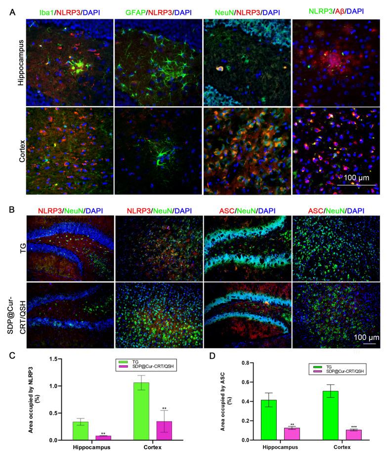 https://cdn.ncbi.nlm.nih.gov/pmc/blobs/a22b/9281113/de4eaa8e5def/12951_2022_1524_Fig7_HTML.jpg