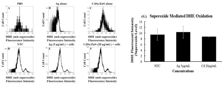 https://cdn.ncbi.nlm.nih.gov/pmc/blobs/a22c/6920935/2c890e360c23/biomolecules-09-00653-g004.jpg