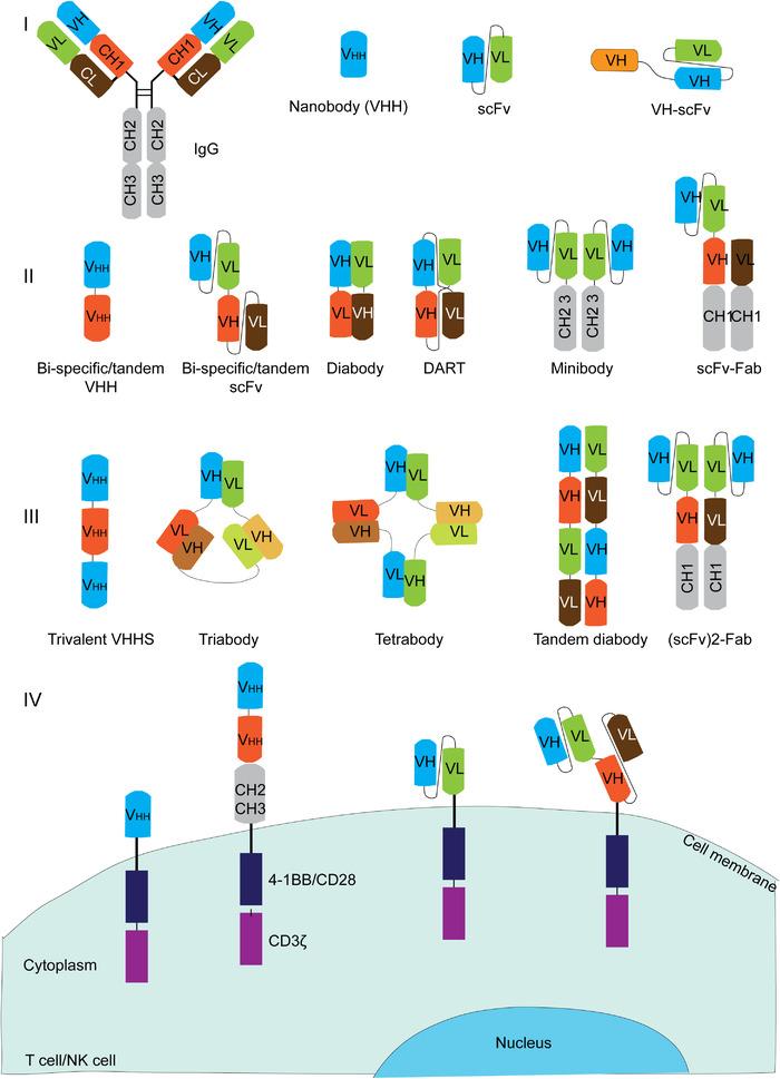 https://cdn.ncbi.nlm.nih.gov/pmc/blobs/a22c/9456695/61bdcbd3a197/CAC2-42-804-g003.jpg