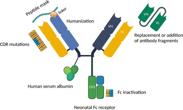 https://cdn.ncbi.nlm.nih.gov/pmc/blobs/a22c/9456695/f64e244178fd/CAC2-42-804-g002.jpg