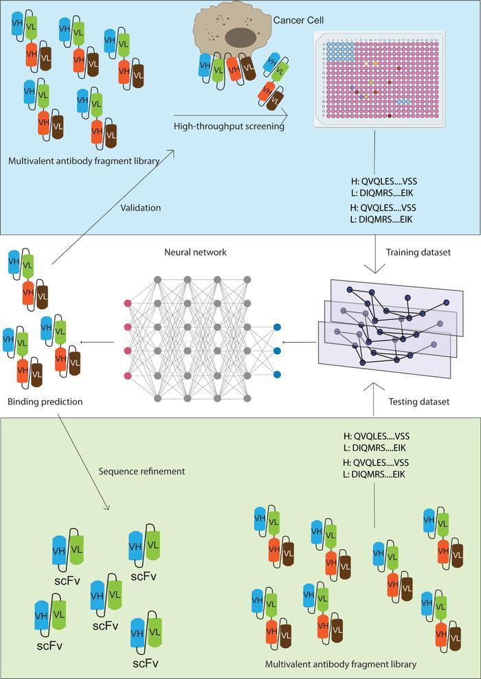https://cdn.ncbi.nlm.nih.gov/pmc/blobs/a22c/9456695/feaa114105da/CAC2-42-804-g001.jpg