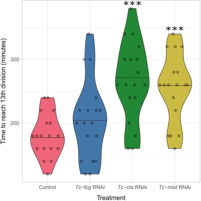 https://cdn.ncbi.nlm.nih.gov/pmc/blobs/a22e/6794076/6d0c5341ae46/elife-47346-fig10-figsupp1.jpg