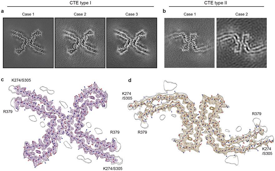 https://cdn.ncbi.nlm.nih.gov/pmc/blobs/a22f/6472968/a35fffa0f9ac/nihms-1522205-f0002.jpg