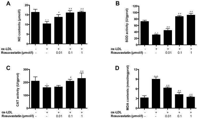 https://cdn.ncbi.nlm.nih.gov/pmc/blobs/a231/6297788/8dcb573d9146/MMR-19-01-0432-g03.jpg