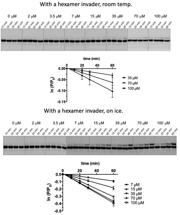 https://cdn.ncbi.nlm.nih.gov/pmc/blobs/a231/6872209/2911de56d748/elife-51888-fig2-figsupp2.jpg