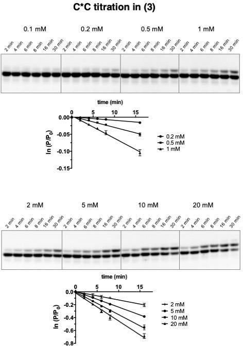 https://cdn.ncbi.nlm.nih.gov/pmc/blobs/a231/6872209/39039ea643d0/elife-51888-fig4-figsupp3.jpg