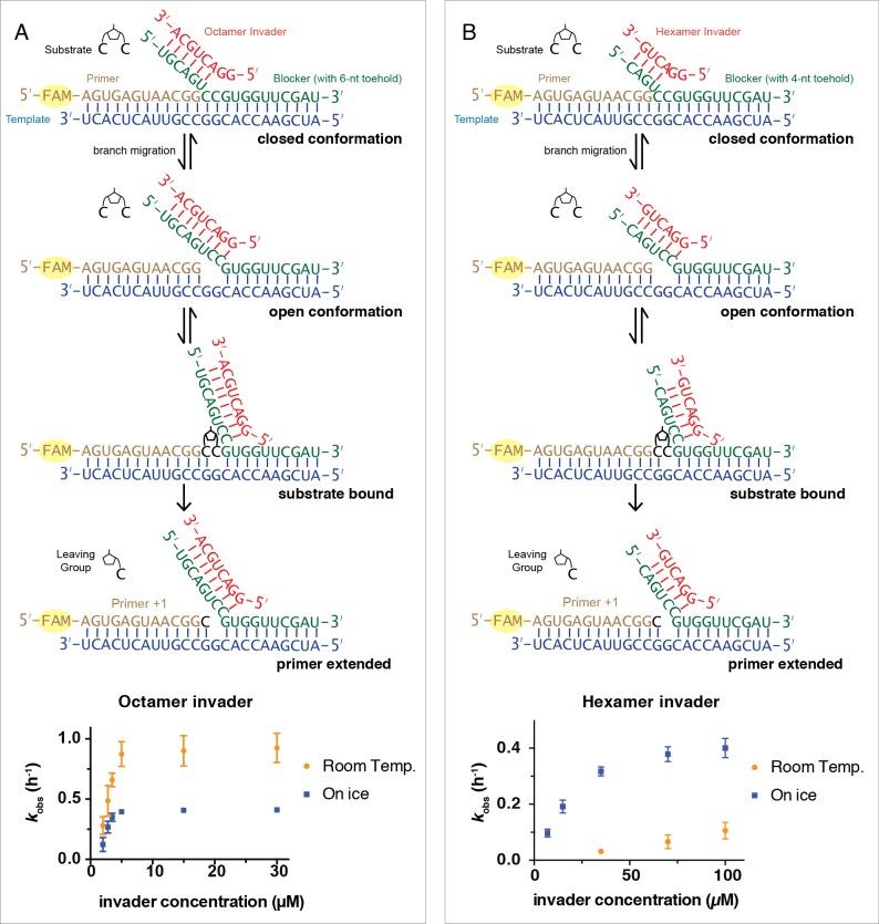 https://cdn.ncbi.nlm.nih.gov/pmc/blobs/a231/6872209/4c8dc984680e/elife-51888-fig2.jpg