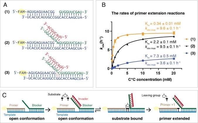 https://cdn.ncbi.nlm.nih.gov/pmc/blobs/a231/6872209/9a0eab44489b/elife-51888-fig4.jpg