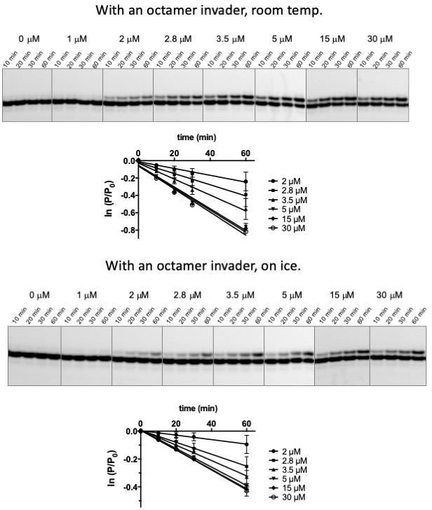 https://cdn.ncbi.nlm.nih.gov/pmc/blobs/a231/6872209/9f30421272f5/elife-51888-fig2-figsupp1.jpg
