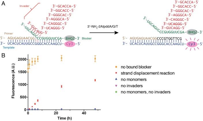 https://cdn.ncbi.nlm.nih.gov/pmc/blobs/a231/6872209/a0eb5b066d9b/elife-51888-fig6.jpg