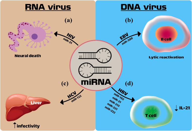 https://cdn.ncbi.nlm.nih.gov/pmc/blobs/a232/12034616/4af2ebce3dbc/gr2.jpg