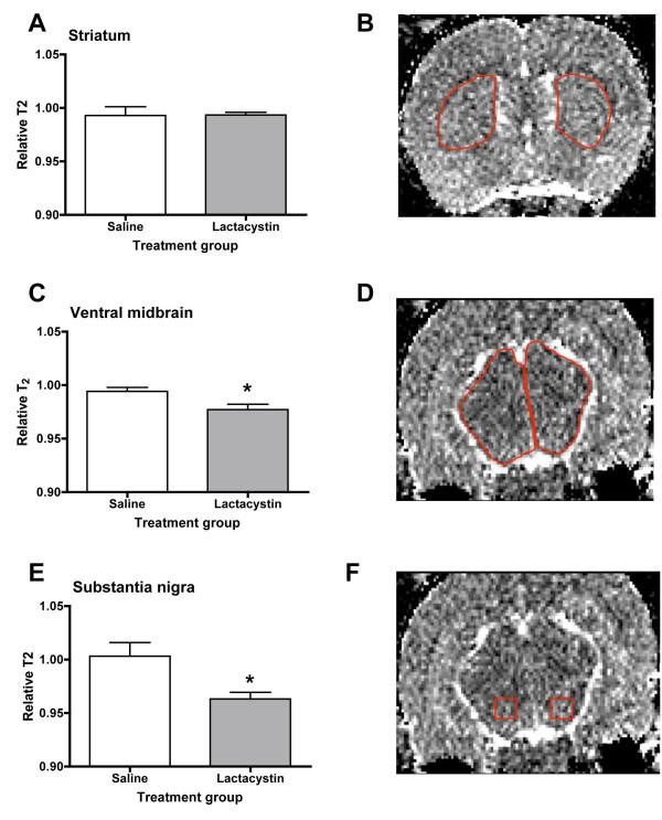 https://cdn.ncbi.nlm.nih.gov/pmc/blobs/a233/2824797/7390331e9681/1471-2202-11-1-4.jpg