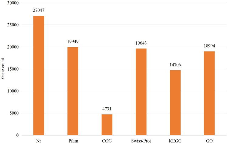 https://cdn.ncbi.nlm.nih.gov/pmc/blobs/a234/7953874/d300ed48b5cd/peerj-09-10864-g001.jpg