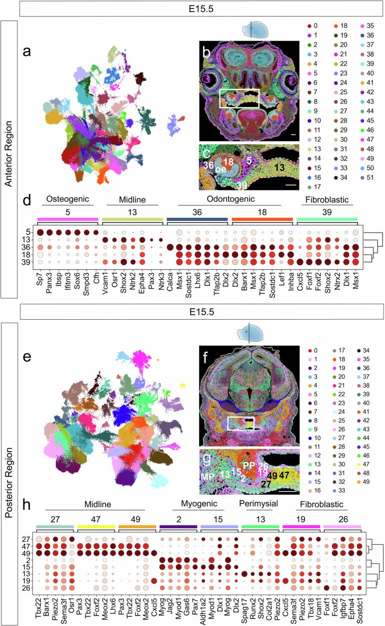 https://cdn.ncbi.nlm.nih.gov/pmc/blobs/a235/12069723/d76dcd0bdf32/41467_2025_59206_Fig3_HTML.jpg