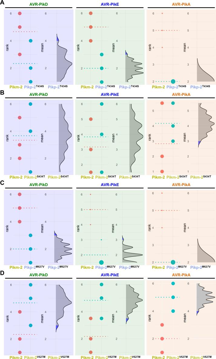 https://cdn.ncbi.nlm.nih.gov/pmc/blobs/a235/8631799/3893e078b826/elife-71662-fig2-figsupp4.jpg