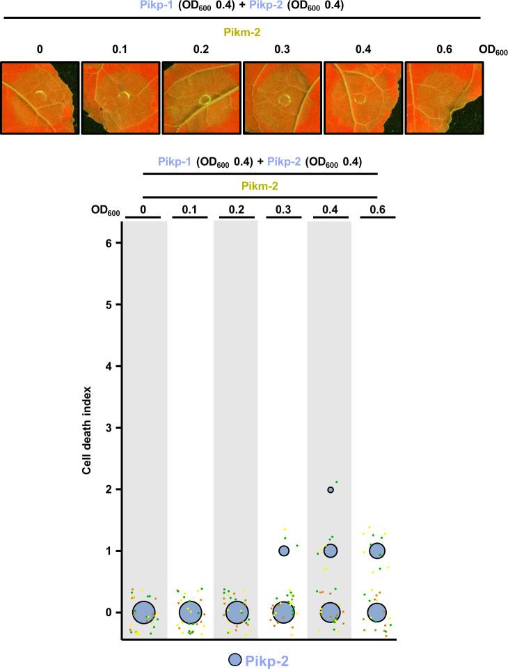 https://cdn.ncbi.nlm.nih.gov/pmc/blobs/a235/8631799/9e5762a2657f/elife-71662-fig9-figsupp2.jpg
