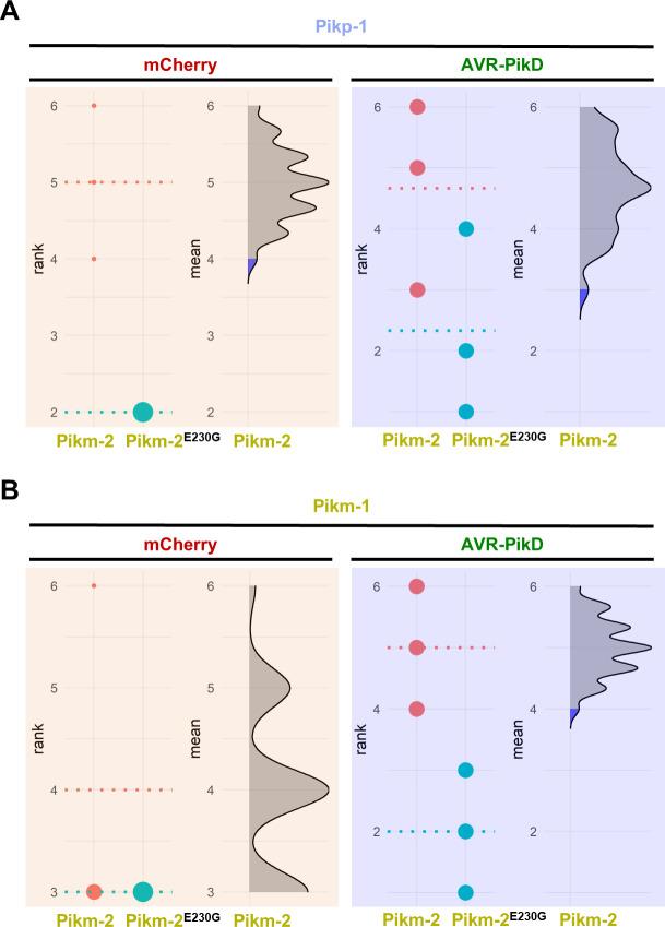 https://cdn.ncbi.nlm.nih.gov/pmc/blobs/a235/8631799/9f3106b90144/elife-71662-fig6-figsupp1.jpg