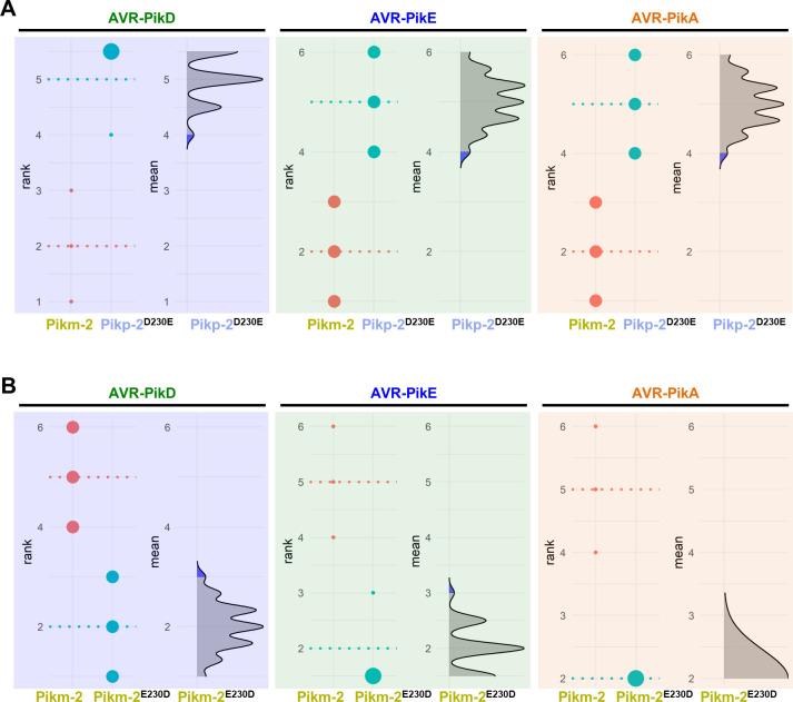 https://cdn.ncbi.nlm.nih.gov/pmc/blobs/a235/8631799/f19e855c291d/elife-71662-fig2-figsupp1.jpg