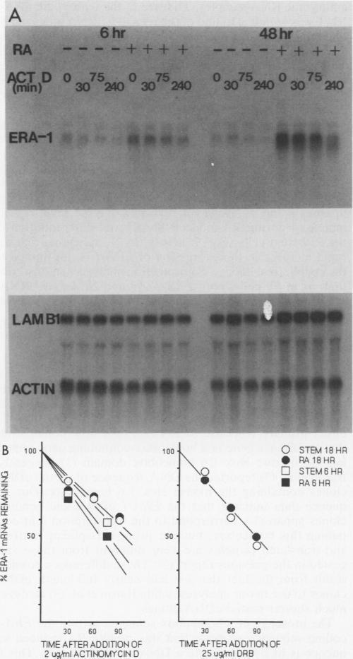 https://cdn.ncbi.nlm.nih.gov/pmc/blobs/a23a/365450/54370027cf6a/molcellb00069-0353-a.jpg