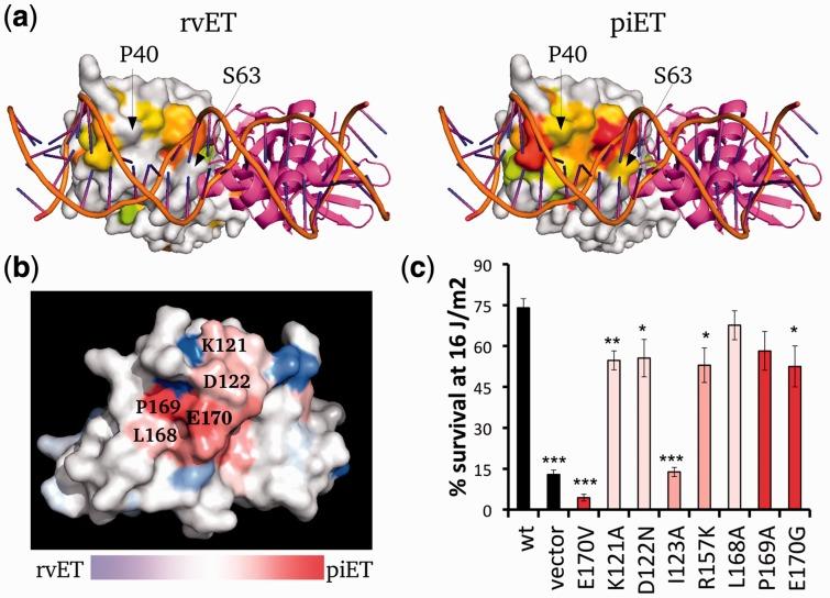 https://cdn.ncbi.nlm.nih.gov/pmc/blobs/a23a/3799481/d36e241ab652/btt489f4p.jpg
