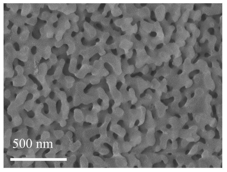 https://cdn.ncbi.nlm.nih.gov/pmc/blobs/a23c/12191904/497cb8c5c634/gels-11-00462-g009.jpg