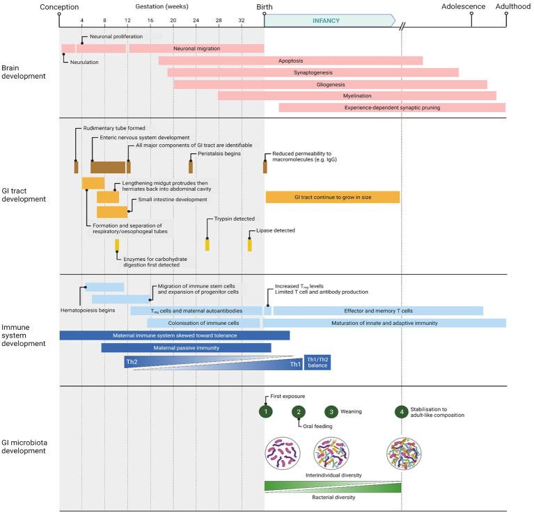 https://cdn.ncbi.nlm.nih.gov/pmc/blobs/a23c/9726769/c3d6daec91c4/fmicb-13-960492-g001.jpg