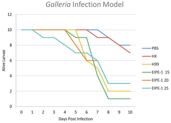 https://cdn.ncbi.nlm.nih.gov/pmc/blobs/a23d/10826398/b66cd7abea50/fmicb-14-1339303-g005.jpg
