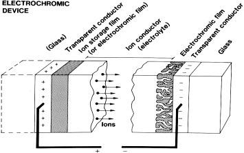 https://cdn.ncbi.nlm.nih.gov/pmc/blobs/a23d/5090311/1361ceda2fc4/TSTA11661377F40.jpg