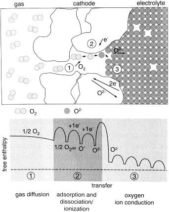 https://cdn.ncbi.nlm.nih.gov/pmc/blobs/a23d/5090311/1a7f81b48957/TSTA11661377F45.jpg