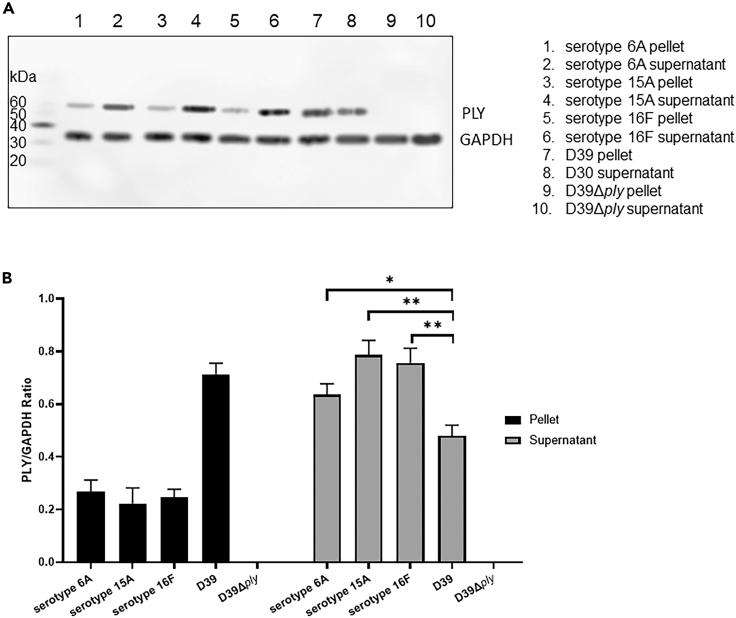https://cdn.ncbi.nlm.nih.gov/pmc/blobs/a23e/11022043/1c0deaa0ebdd/gr1.jpg