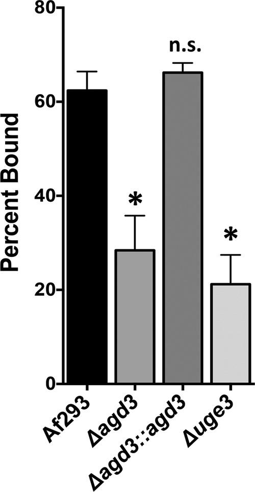 https://cdn.ncbi.nlm.nih.gov/pmc/blobs/a23e/4817252/e3a63a220b63/mbo0021627450005.jpg