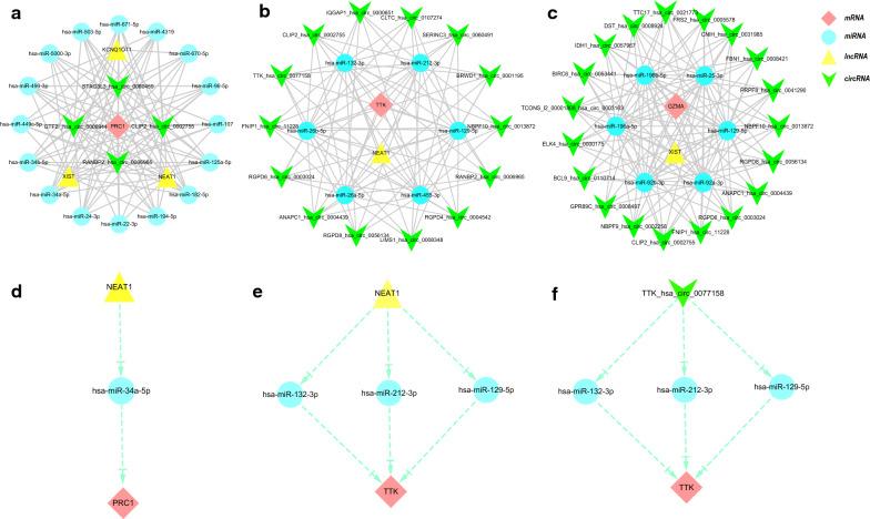 https://cdn.ncbi.nlm.nih.gov/pmc/blobs/a23e/7789535/4ba83470e8a8/12967_2020_2689_Fig8_HTML.jpg