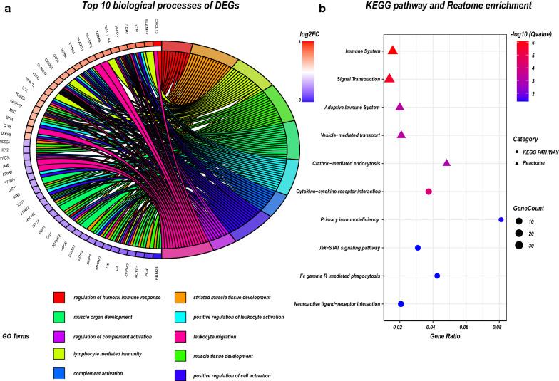 https://cdn.ncbi.nlm.nih.gov/pmc/blobs/a23e/7789535/af159ae129a2/12967_2020_2689_Fig3_HTML.jpg