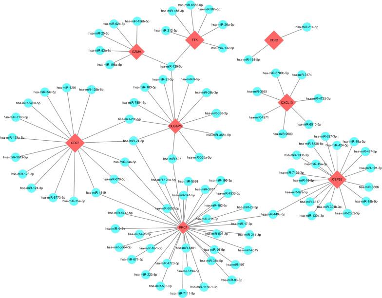 https://cdn.ncbi.nlm.nih.gov/pmc/blobs/a23e/7789535/c77a500ee789/12967_2020_2689_Fig5_HTML.jpg