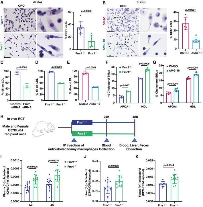https://cdn.ncbi.nlm.nih.gov/pmc/blobs/a23f/8988208/e7b945934797/EMMM-14-e15344-g007.jpg