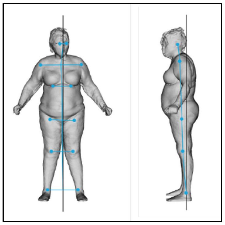https://cdn.ncbi.nlm.nih.gov/pmc/blobs/a241/11852087/ef4d21146367/bioengineering-12-00179-g011.jpg