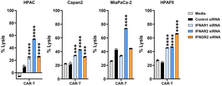 https://cdn.ncbi.nlm.nih.gov/pmc/blobs/a241/12370727/df733be64eb3/fimmu-16-1618415-g007.jpg