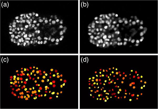 https://cdn.ncbi.nlm.nih.gov/pmc/blobs/a241/3903074/ad60155f9b67/1471-2105-14-328-3.jpg
